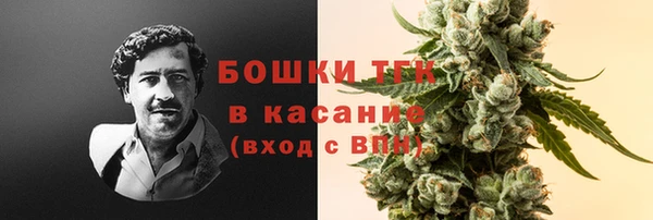 амф Белокуриха