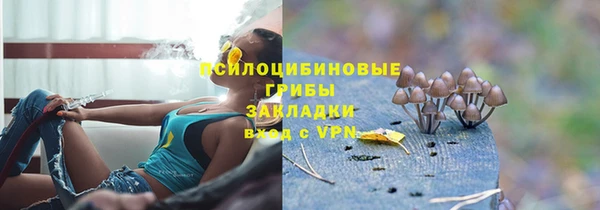 бутират Богородицк