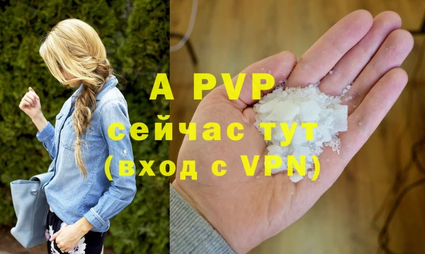 амф Белокуриха