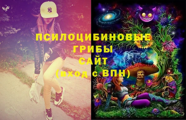 бутират Богородицк